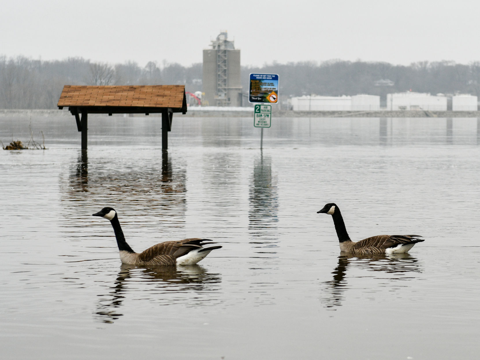 River Drive flooding in Moline